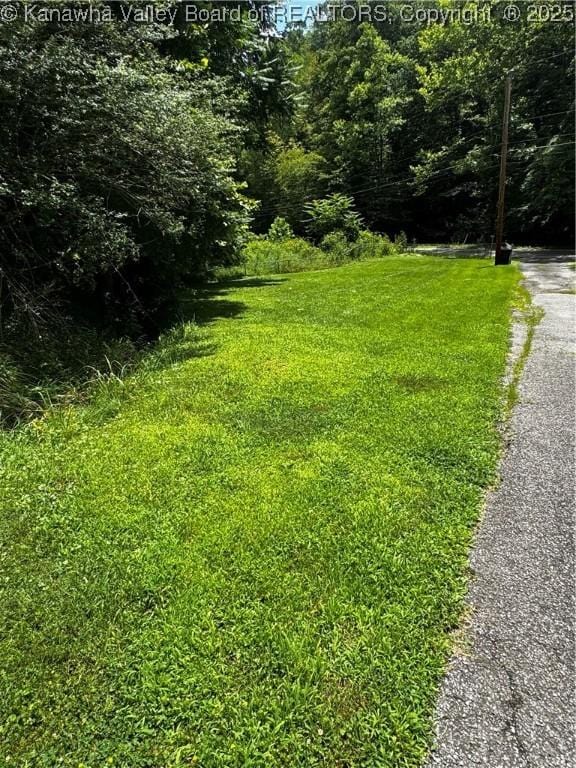 1198 Caney Branch Rd, Chapmanville, WV 25508 - view of green lawn