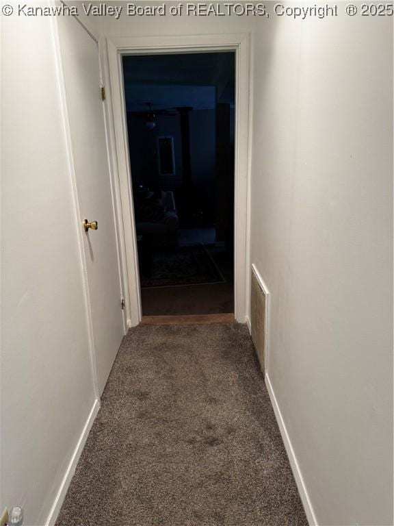 1198 Caney Branch Rd, Chapmanville, WV 25508 - hallway featuring carpet floors