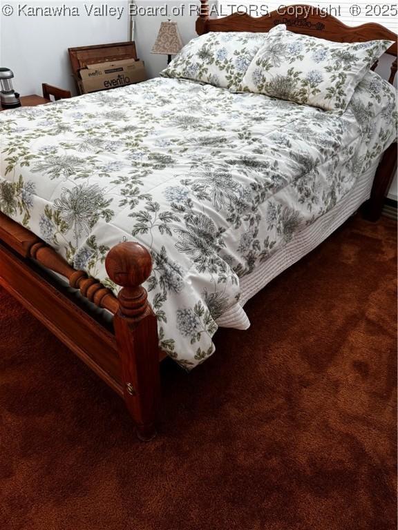 1198 Caney Branch Rd, Chapmanville, WV 25508 - view of carpeted bedroom