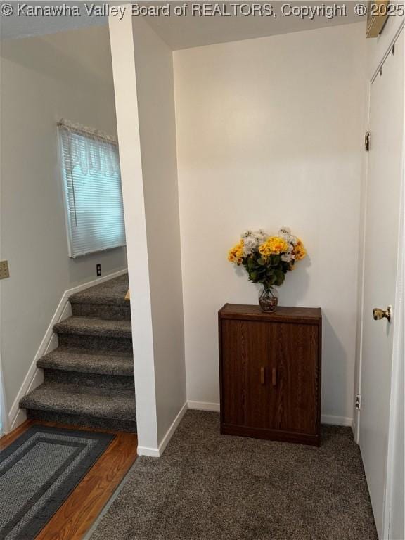 1198 Caney Branch Rd, Chapmanville, WV 25508 - staircase featuring carpet and baseboards