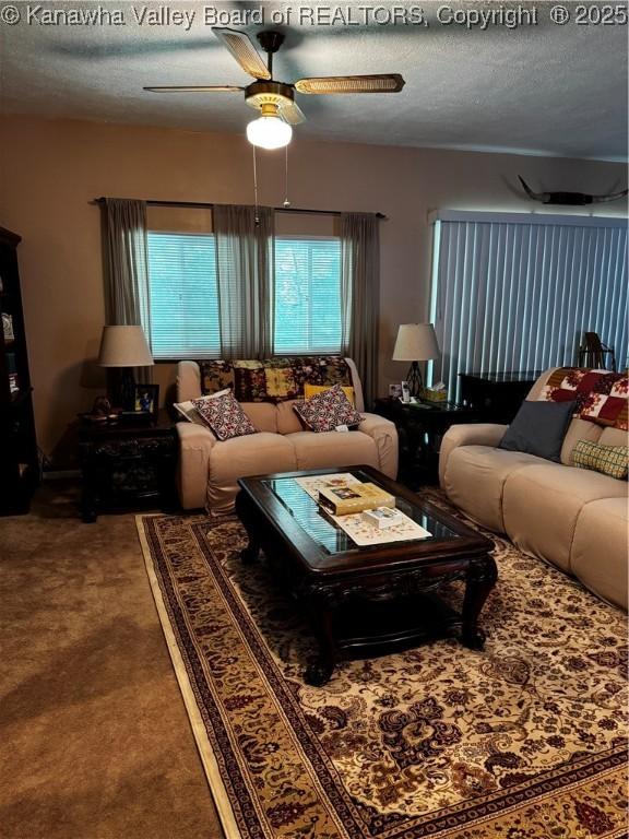 1198 Caney Branch Rd, Chapmanville, WV 25508 - carpeted living area with a ceiling fan and a textured ceiling