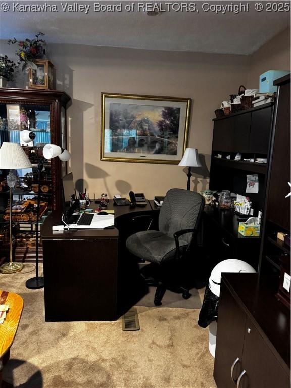 1198 Caney Branch Rd, Chapmanville, WV 25508 - office area with carpet flooring