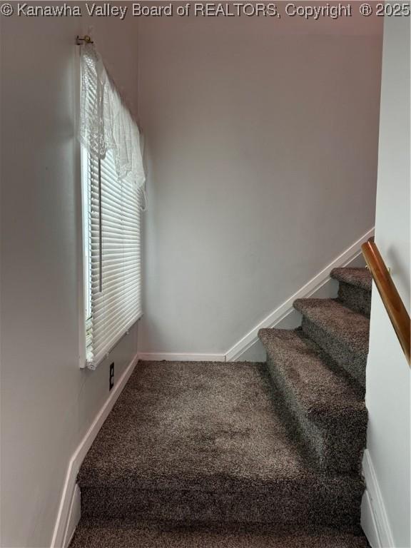1198 Caney Branch Rd, Chapmanville, WV 25508 - staircase featuring carpet flooring and baseboards
