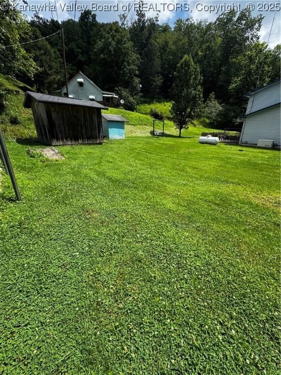 1198 Caney Branch Rd, Chapmanville, WV 25508 - view of green lawn