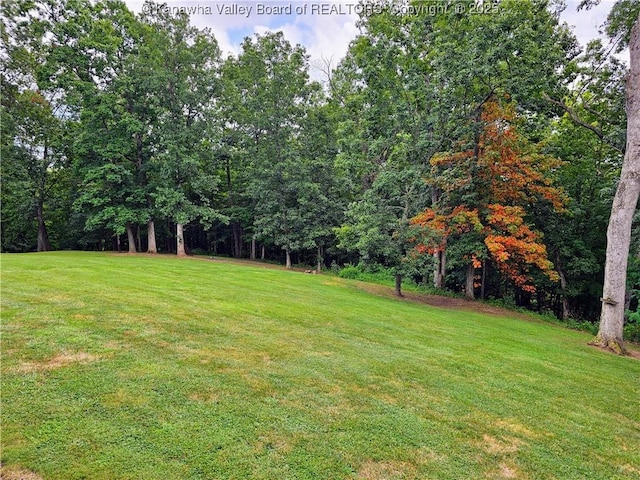 438 Tanglewood Dr, Point Pleasant, WV 25550 - view of grassy yard