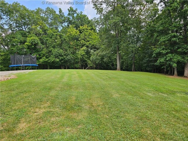 438 Tanglewood Dr, Point Pleasant, WV 25550 - view of grassy yard featuring a trampoline