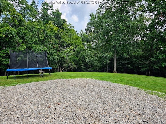 438 Tanglewood Dr, Point Pleasant, WV 25550 - view of green lawn with a trampoline