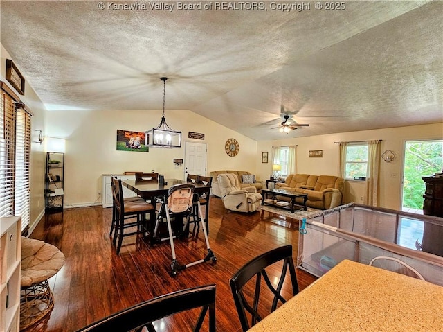 438 Tanglewood Dr, Point Pleasant, WV 25550 - dining area featuring a ceiling fan, dark wood-style flooring, a textured ceiling, and lofted ceiling
