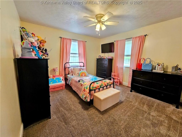 438 Tanglewood Dr, Point Pleasant, WV 25550 - bedroom featuring carpet flooring, a textured ceiling, and a ceiling fan