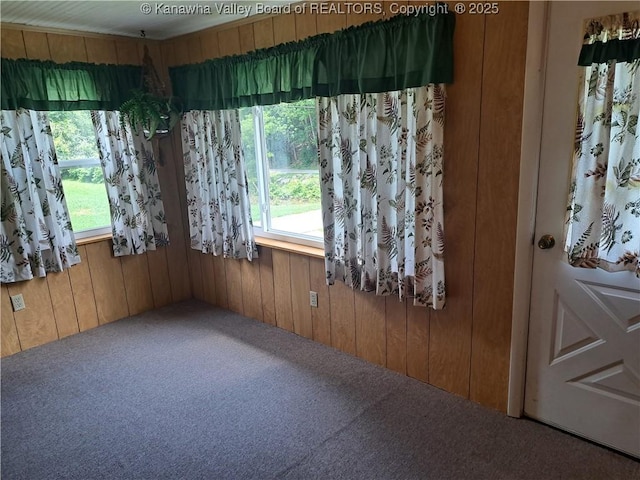 588 Saunders Creek Rd, Milton, WV 25541 - carpeted empty room with wooden walls