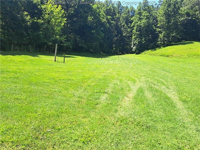 588 Saunders Creek Rd, Milton, WV 25541 - view of green lawn