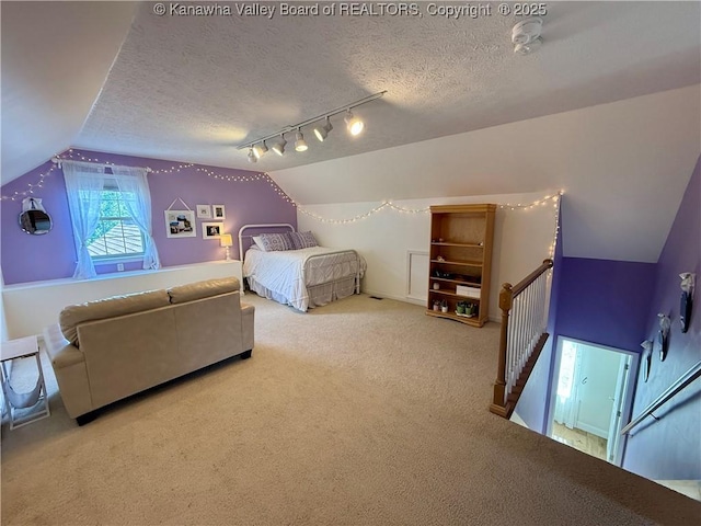 255 Stoney Brook Dr, Point Pleasant, WV 25550 - carpeted bedroom with vaulted ceiling, a textured ceiling, and track lighting