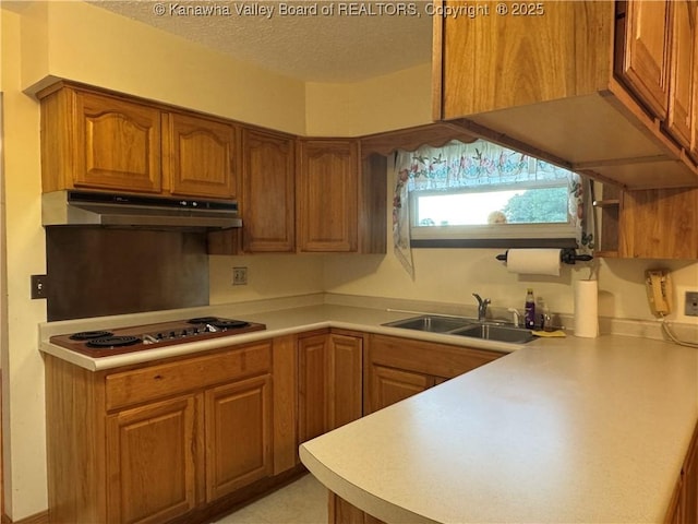 709 Mcintosh Ave, Ravenswood, WV 26164 - photo 7