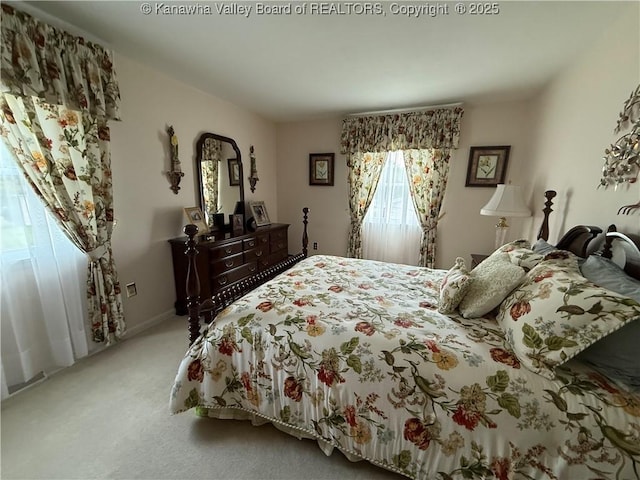 105 Sayer Cir, Logan, WV 25601 - bedroom featuring carpet flooring