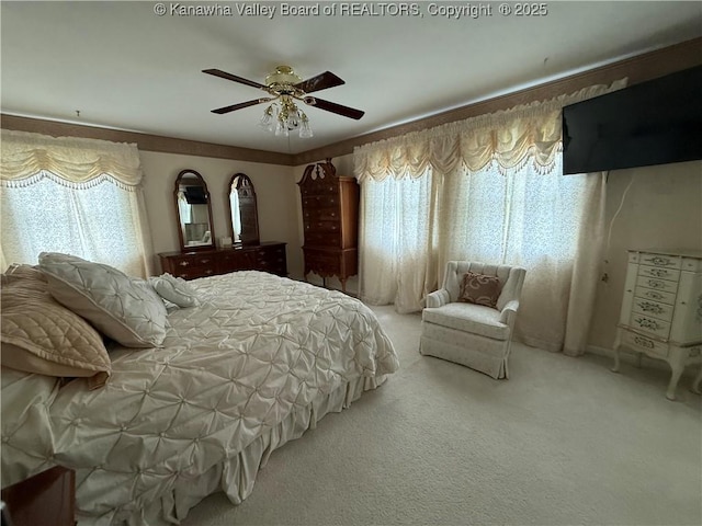 105 Sayer Cir, Logan, WV 25601 - carpeted bedroom with multiple windows and a ceiling fan