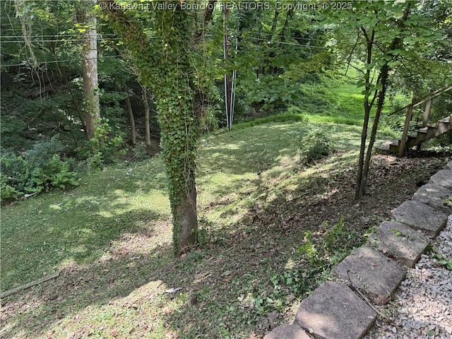 119 Swarthmore Ave, Charleston, WV 25302 - view of local wilderness