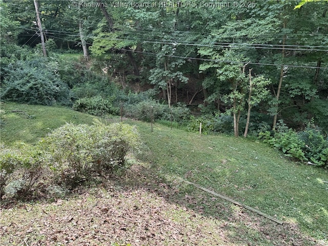 119 Swarthmore Ave, Charleston, WV 25302 - view of grassy yard
