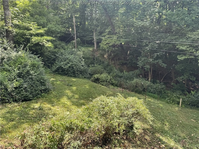 119 Swarthmore Ave, Charleston, WV 25302 - view of grassy yard featuring a forest view