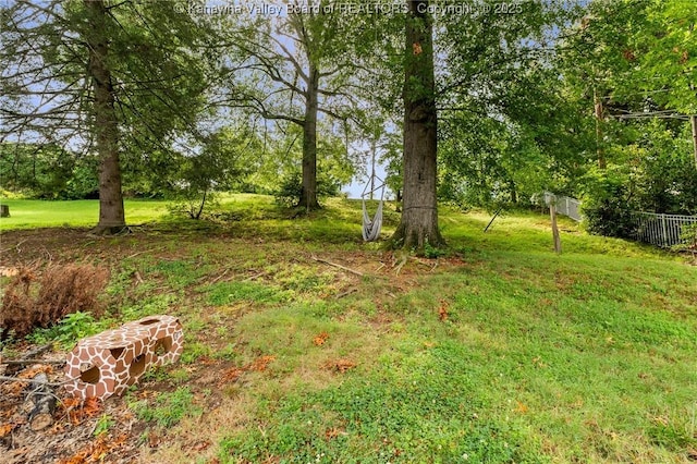 51 Roland Park Dr, Huntington, WV 25705 - view of yard