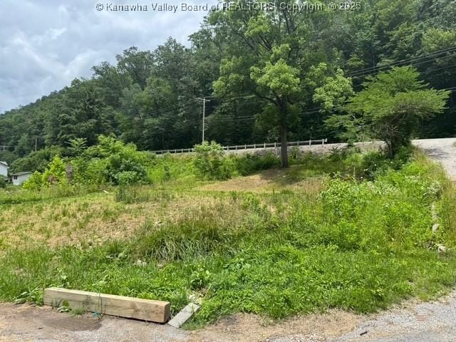 0 Sycamore St, Clay, WV 25043