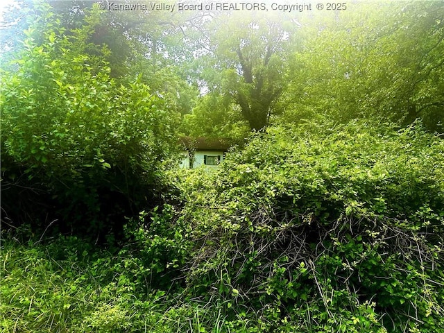 0 Wells Lock Rd, Elizabeth, WV 26143