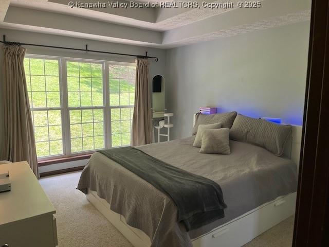 14 Perkins Way, Cross Lanes, WV 25313 - bedroom featuring a baseboard heating unit, a tray ceiling, and carpet floors