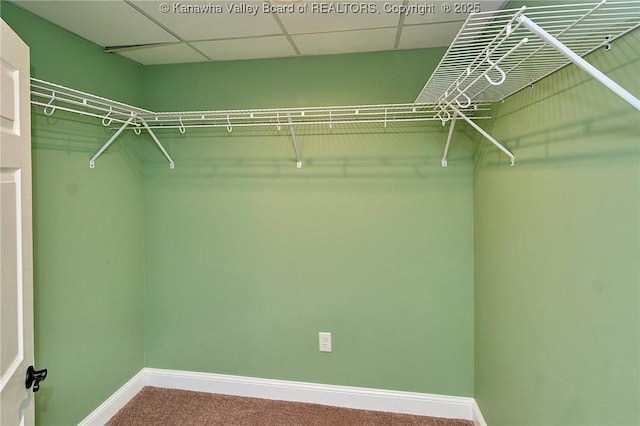 5309 Venable Ave SE, Charleston, WV 25304 - walk in closet featuring carpet flooring