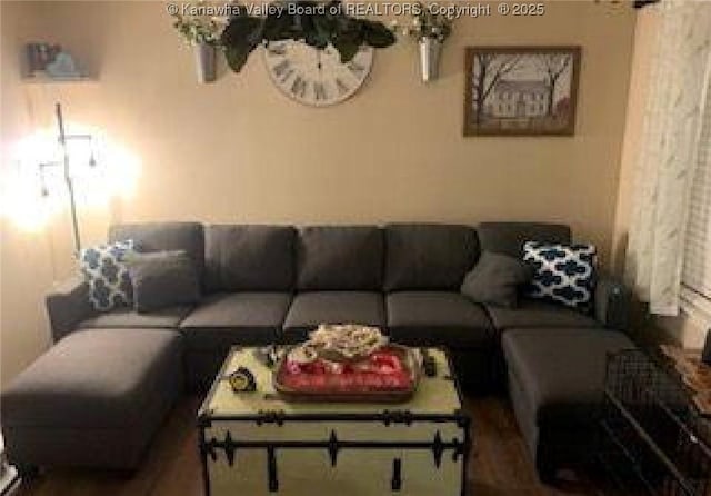 59 Pleasant Ln, Grantsville, WV 25147 - view of living room