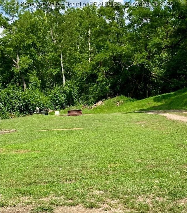 1091/2 Hillcrest Dr, Ripley, WV 25271 - view of grassy yard