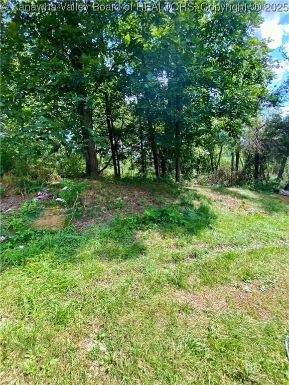 1091/2 Hillcrest Dr, Ripley, WV 25271 - view of undeveloped land