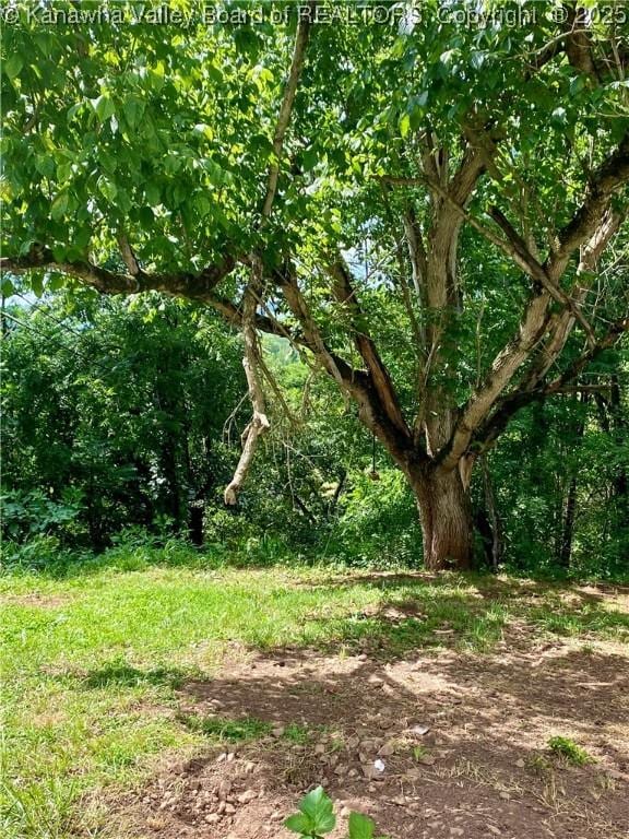 1091/2 Hillcrest Dr, Ripley, WV 25271 - view of local wilderness