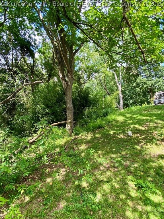 1091/2 Hillcrest Dr, Ripley, WV 25271 - view of yard