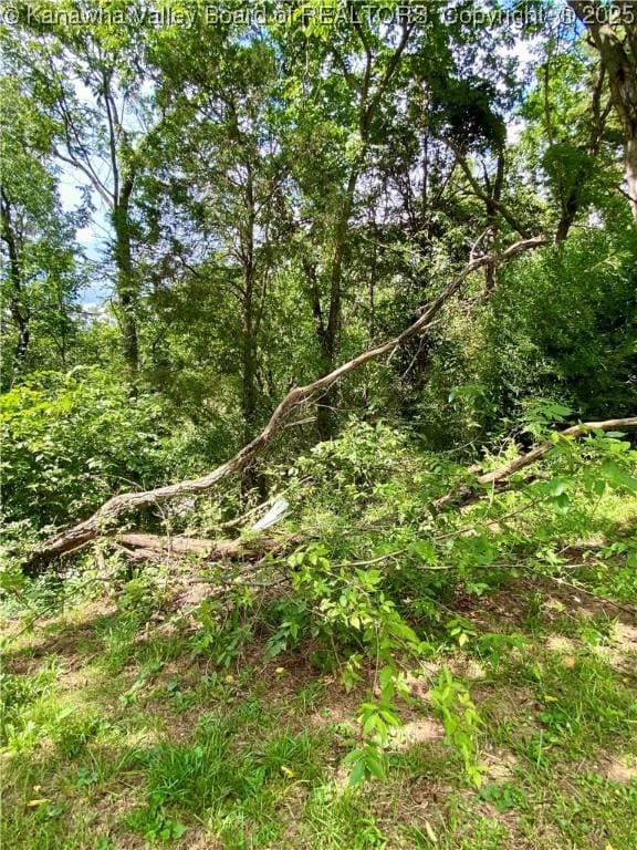 1091/2 Hillcrest Dr, Ripley, WV 25271 - view of local wilderness