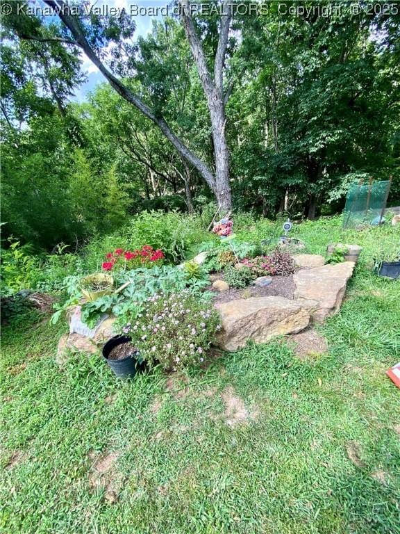 1091/2 Hillcrest Dr, Ripley, WV 25271 - view of yard