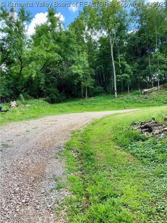 1091/2 Hillcrest Dr, Ripley, WV 25271 - view of street