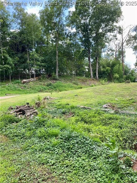 1091/2 Hillcrest Dr, Ripley, WV 25271 - view of yard