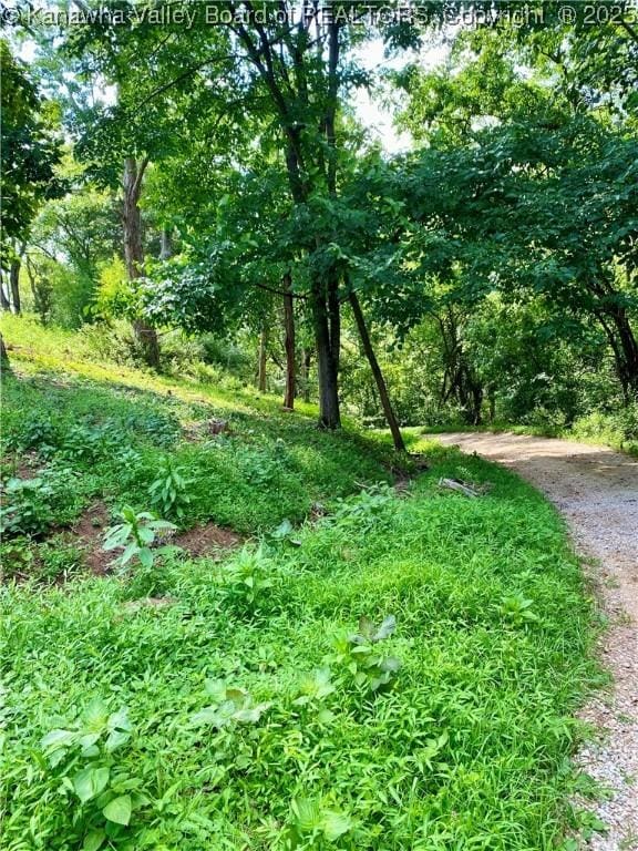 1091/2 Hillcrest Dr, Ripley, WV 25271 - view of local wilderness