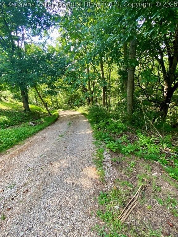 1091/2 Hillcrest Dr, Ripley, WV 25271 - view of road