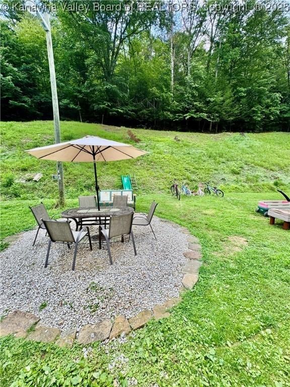 28 Brushy Frk, Alkol, WV 25501 - view of green lawn with a patio
