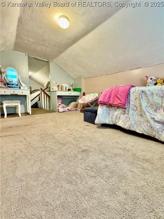 28 Brushy Frk, Alkol, WV 25501 - bedroom featuring vaulted ceiling, carpet floors, and a textured ceiling