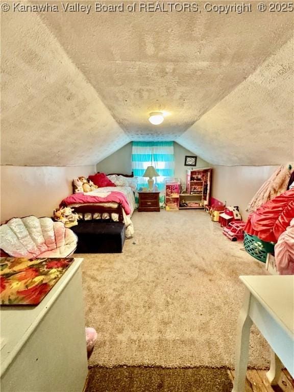 28 Brushy Frk, Alkol, WV 25501 - carpeted bedroom with a textured ceiling and vaulted ceiling