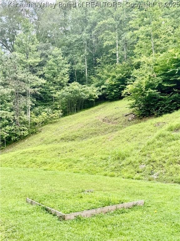 28 Brushy Frk, Alkol, WV 25501 - view of yard featuring a view of trees