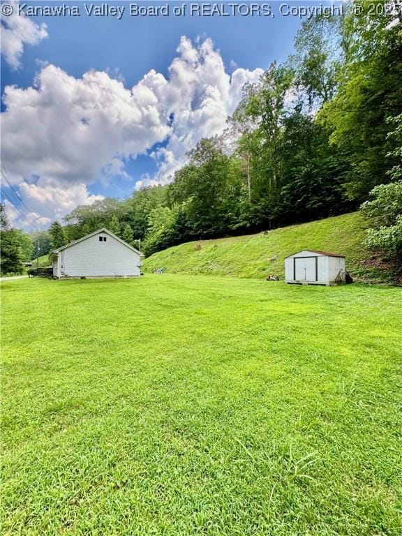 28 Brushy Frk, Alkol, WV 25501 - view of green lawn with a shed