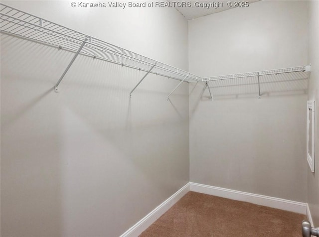 6 Squires Dr, Saint Albans, WV 25177 - spacious closet with carpet
