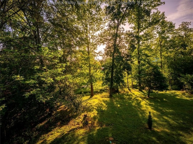 6 Squires Dr, Saint Albans, WV 25177 - view of nature