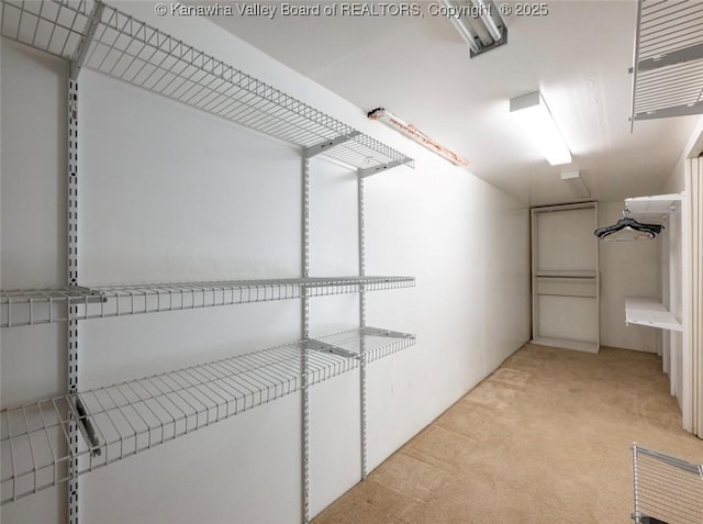 105 Lincoln Hts, Alum Creek, WV 25003 - spacious closet with light carpet