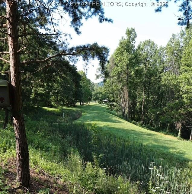 282 Dupont Rd, Poca, WV 25159 - view of yard