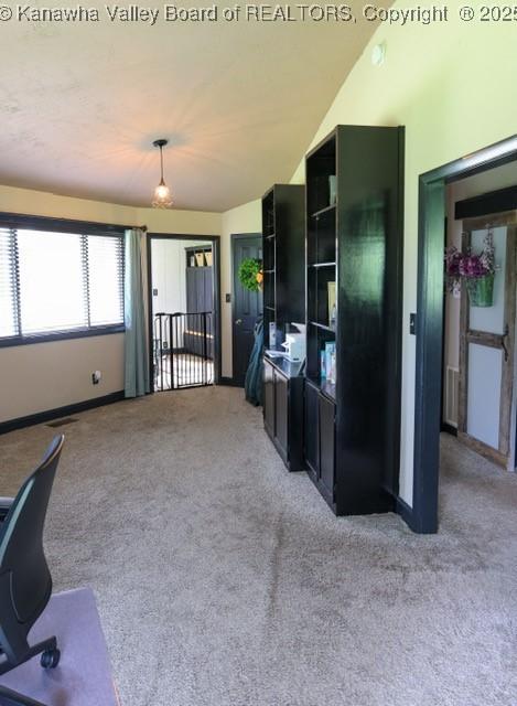 282 Dupont Rd, Poca, WV 25159 - unfurnished office with light carpet and lofted ceiling