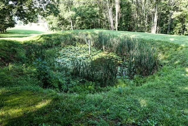 282 Dupont Rd, Poca, WV 25159 - view of undeveloped land