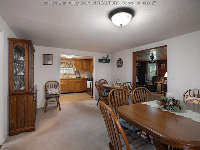 4728 Cain Ridge Rd, Leon, WV 25123 - dining room featuring light colored carpet and a ceiling fan